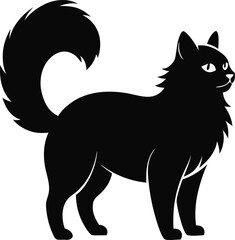 beautiful ragdoll cat silhoutte icon on transparent background