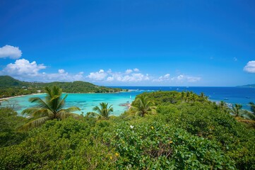 Obraz premium Stunning Coastal Scene Featuring Crystal Clear Water and Tropical Palms