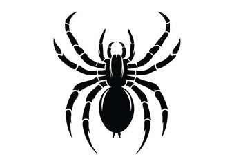Sydney funnel-web spider, black and white vector silhouette