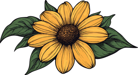 african daisy flower and leaves