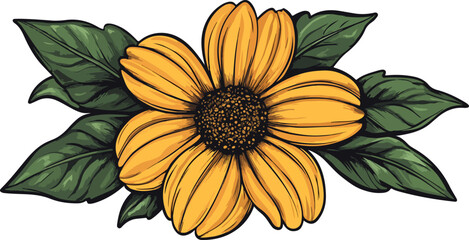 african daisy flower and leaves