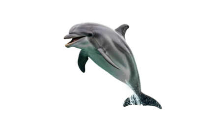 A playful dolphin leaps joyfully from the water, exuding vitality and happiness with open mouth.