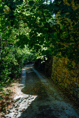 JARDIN DE L'ALBAREDE - 24-42159.JPG