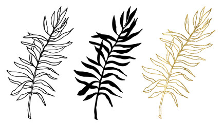 Palm leaves hand drawn single illustration