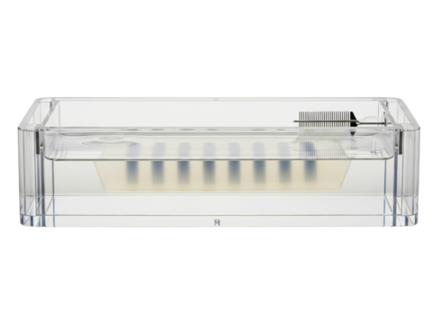 Transparent rectangular laboratory gel electrophoresis chamber on a transparent background - Powered by Adobe
