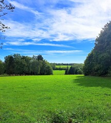 green field and blue sky