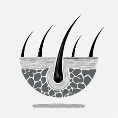 Healthy hair follicle illustration shiny strands scalp care hair growth concept medical icon