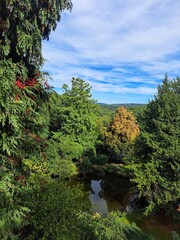 river in the forest  Natural landscape of green forest and forest lake in the valley and blue sky in the background.