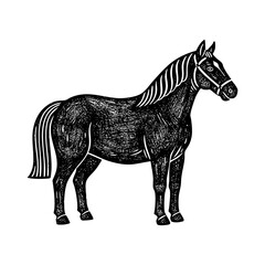 Vector illustration of a horse with a woodblock print/seal stamp aesthetic