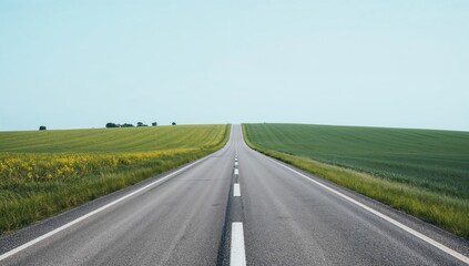 Rural pathway stretching into the horizon through a lush green meadow. Scenic landscape with ample blank space for text.