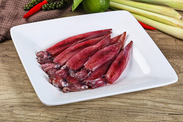 Raw fresh squids for cooking