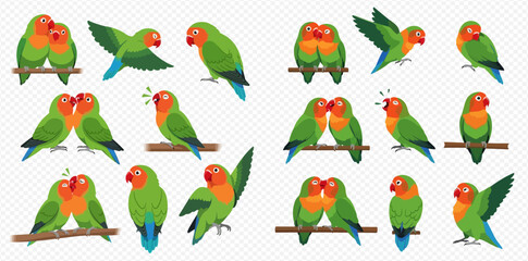 Illustration of lovebirds in various poses, perched, flying, and interacting with each other.