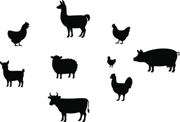 Farm animal silhouettes illustration, cow pig sheep chicken rooster chick llama alpaca, black and white agriculture concept, educational livestock design