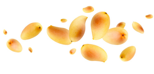 Whole yellow ripe mangoes fly and levitate in space. Isolated on white.