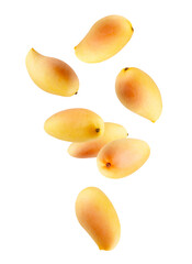 Whole yellow ripe mangoes falls into space. Isolated on white.