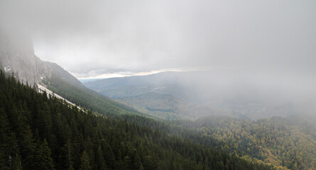misty morning in the mountains