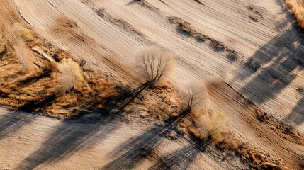 Rolling golden hills landscape — warm brown & ochre for presentation backgrounds, wallpapers and posters