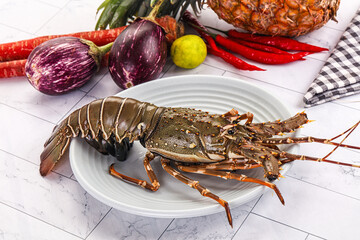 Raw wild fresh spiny lobster