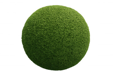 Green sphere topiary, growing bush ball shape, natural foliage element with transparent background