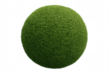 Green sphere topiary, growing bush ball shape, natural foliage element with transparent background