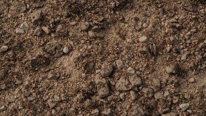 Macro Photography Backdrop Featuring Earthy Textures and Rocky Soil Elements