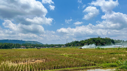 Obraz premium Beautiful rural landscape showing rice fields after harvest with light smoke rising from burning paddy waste under a bright blue sky with white clouds