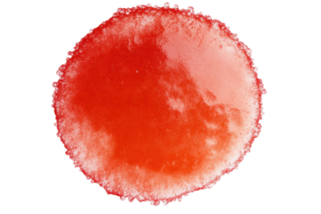 Red Bacterial Colony Agar Plate. Microbiology And Laboratory Research. Isolated On Transparent Background