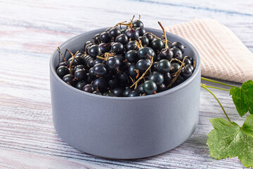 Ripe fresh black currants branches