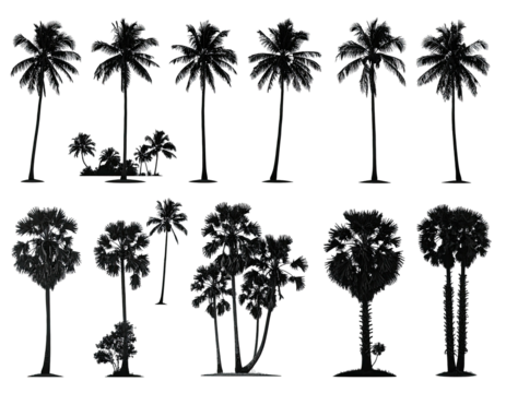 Collection of stylized silhouetted palm trees and small shrubbery against a black background