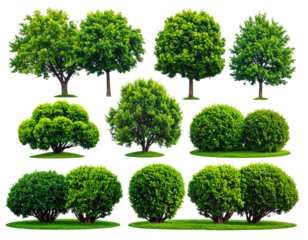 Collection of various healthy, vibrant green trees and bushes, with grass, on a dark background