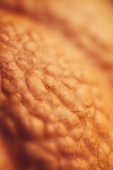 Macro close-up of an orange pumpkin-like surface with soft fibers and natural organic texture. Warm golden tones create an earthy abstract background.