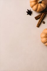 Top-view autumn composition featuring pumpkins, cinnamon sticks, and star anise on a soft beige background. Warm rustic styling ideal for fall food and holiday designs.
