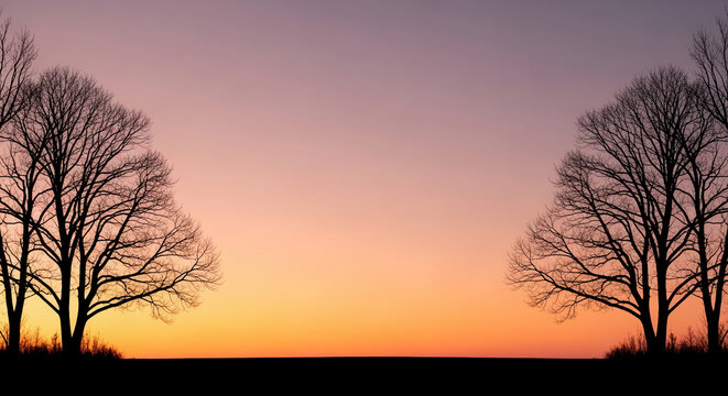 Silhouette of bare tree against a vibrant sunset sky, creating a peaceful and scenic landscape representing nature and serenity, perfect for contemplation