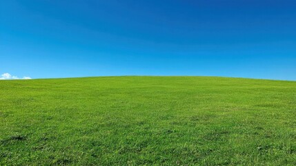 Fototapeta premium Lush Green Field Under Clear Blue Sky with Vast Open Space and Natural Landscape Perfect for Tranquility and Outdoor Activities in a Serene Environment