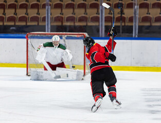 Ice hockey player shoots the puck against the opponents net