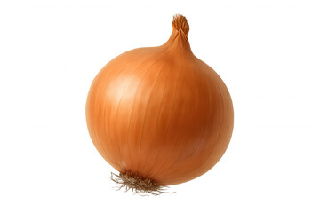Yellow onion bulb, raw and fresh, natural cooking vegetable ingredient on transparent alpha channel background