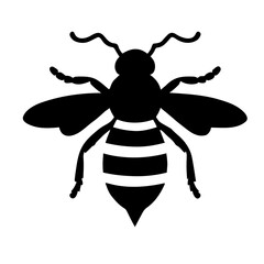 bee on white background