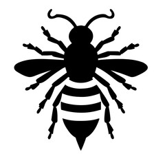 bee vector illustration