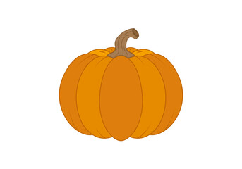 Calabaza naranja de otoño en fondo blanco