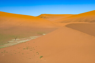 Namibia, the Dead Valley in the Namib desert, red dunes in background
