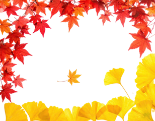 Autumnal frame featuring vibrant red maple leaves and yellow ginkgo leaves on a black background