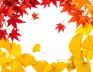 Autumn foliage frame, showcasing vibrant red maple and yellow ginkgo leaves