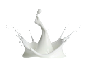A vibrant splash of white liquid, creating a crown-like formation, isolated on black