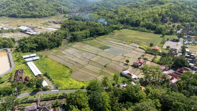 Aerial view highlights lush rice fields and homes amidst a vibrant green landscape