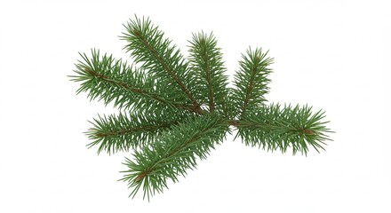 A Realistic 3D Render of a Green Pine Branch with Detailed Needles on a White Background.