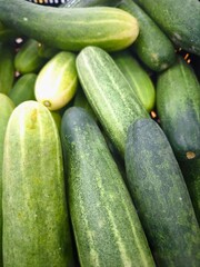 Bright, juicy, and garden-fresh — these cucumbers are perfect for your summer table! Enjoy their natural crunch and refreshing taste in salads, sandwiches, or healthy snacks straight from the garden.