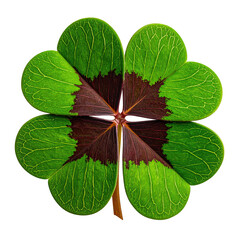 Close-up of a four-leaf clover against a black background, veins visible, vibrant green & brown