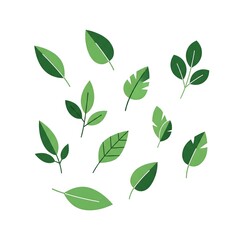 Naklejka premium Collection of green leaves isolated on white background, a simple and clean botanical illustration