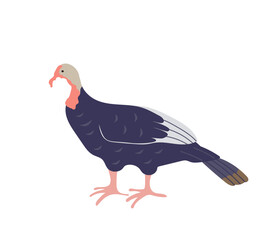  A cute, stylized  female turkey (hen) with dark plumage, often used as a symbol for Thanksgiving and farm themes. Vector illustration for fall, harvest holiday designs, and educational materials.