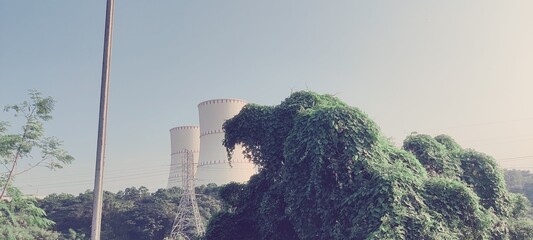 Picturesque view of water lilies growing among green leaves on calm pond. Garden pond with water lilies and lotuses. Atmosphere of relaxation, tranquility and happiness.